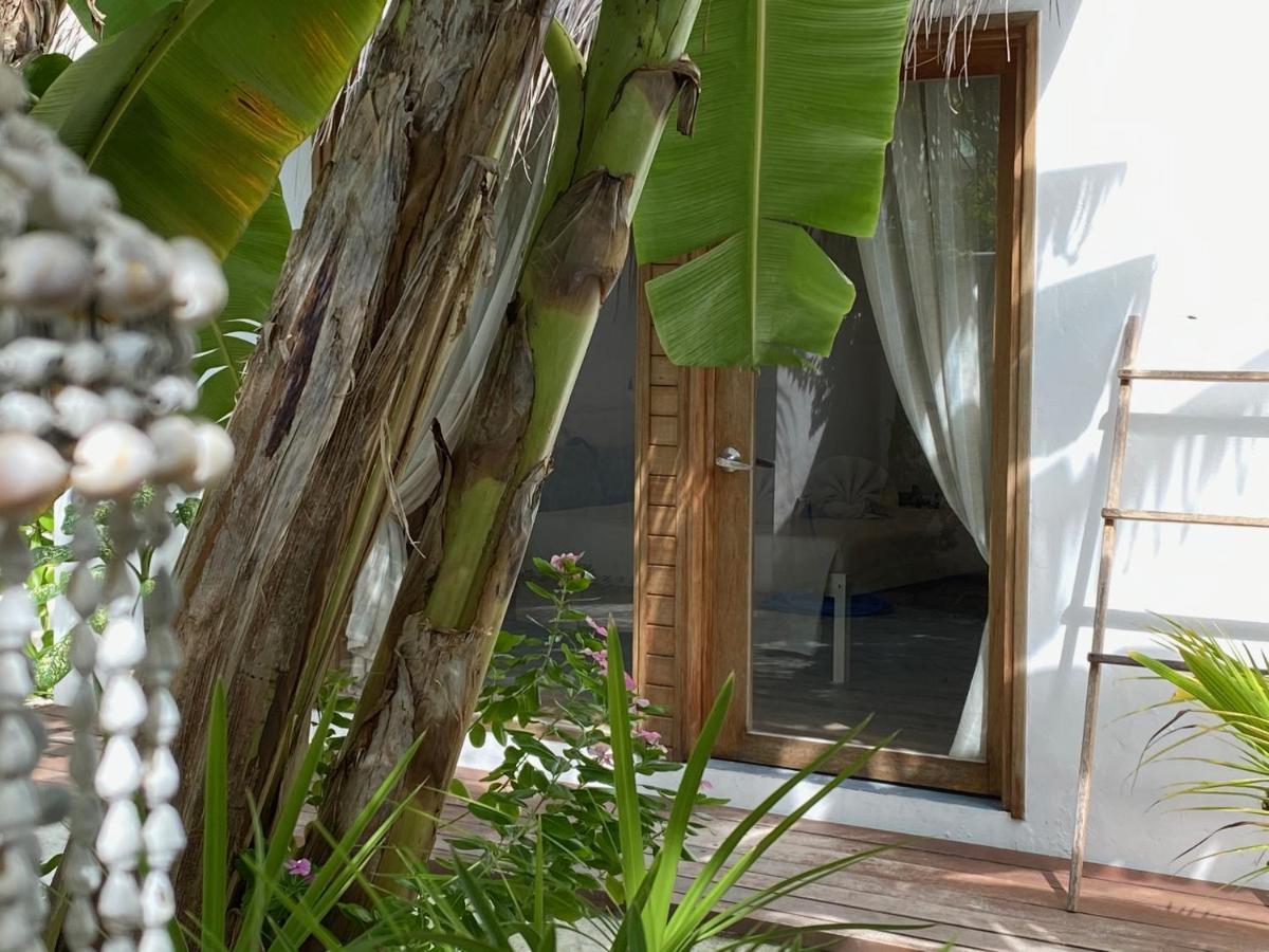 Villa Kudi Maldives Guest House טלאוסדו מראה חיצוני תמונה